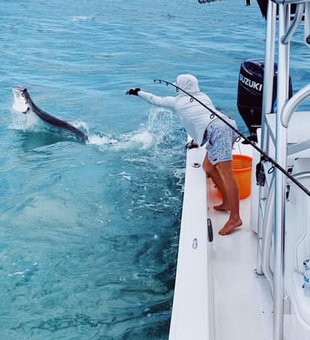 Sarasota Tarpon Fishing Adventures!